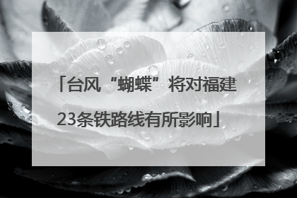 台风“蝴蝶”将对福建23条铁路线有所影响