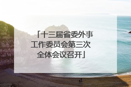十三届省委外事工作委员会第三次全体会议召开