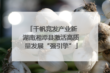 千帆竞发产业新 湖南湘潭县激活高质量发展“强引擎”