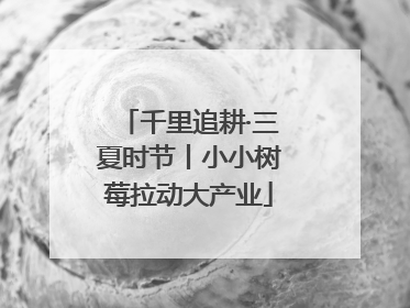 千里追耕·三夏时节丨小小树莓拉动大产业