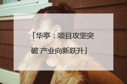 华亭：项目攻坚突破 产业向新跃升