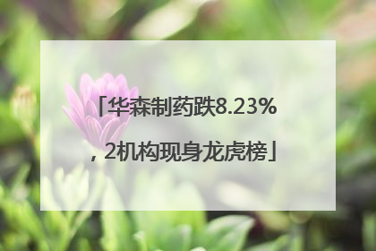 华森制药跌8.23%，2机构现身龙虎榜