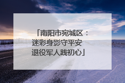 南阳市宛城区：迷彩身影守平安 退役军人践初心