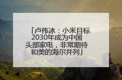 卢伟冰：小米目标2030年成为中国头部家电，非常期待和美的海尔并列