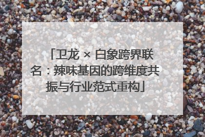 卫龙 × 白象跨界联名：辣味基因的跨维度共振与行业范式重构
