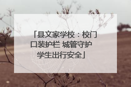县文家学校：校门口装护栏 城管守护学生出行安全