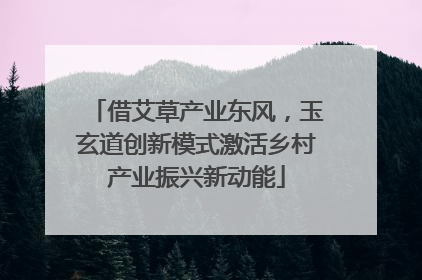 借艾草产业东风，玉玄道创新模式激活乡村产业振兴新动能