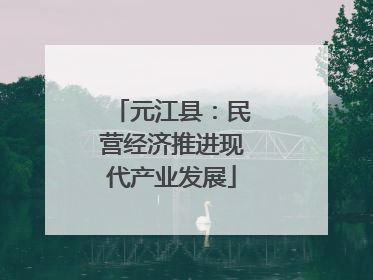 元江县：民营经济推进现代产业发展