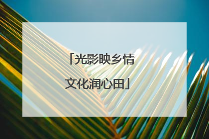 光影映乡情 文化润心田