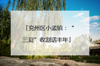 兖州区小孟镇：“三夏”收割话丰年
