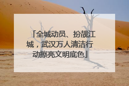 全城动员、扮靓江城，武汉万人清洁行动擦亮文明底色