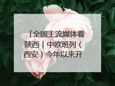 全国主流媒体看陕西｜中欧班列（西安）今年以来开行超2500列