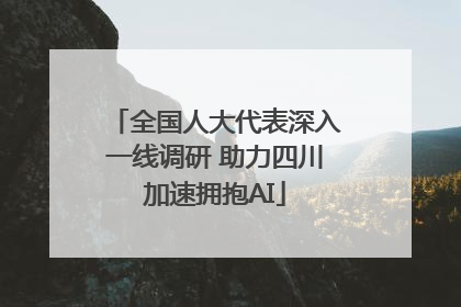 全国人大代表深入一线调研 助力四川加速拥抱AI