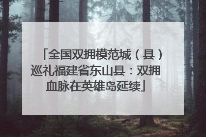 全国双拥模范城（县）巡礼福建省东山县：双拥血脉在英雄岛延续