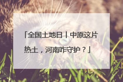 全国土地日丨中原这片热土，河南咋守护？