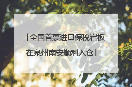 全国首票进口保税岩板在泉州南安顺利入仓