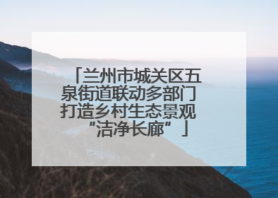 兰州市城关区五泉街道联动多部门打造乡村生态景观“洁净长廊”