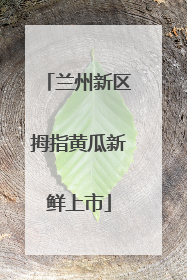 兰州新区拇指黄瓜新鲜上市