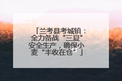 兰考县考城镇：全力备战“三夏”安全生产，确保小麦“丰收在仓”