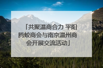 共聚温商合力 平阳腾蛟商会与南京温州商会开展交流活动