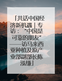 共话中国经济新机遇｜专访：“中国是可靠的朋友”——访马来西亚种植及原产业部副部长陈泓缣