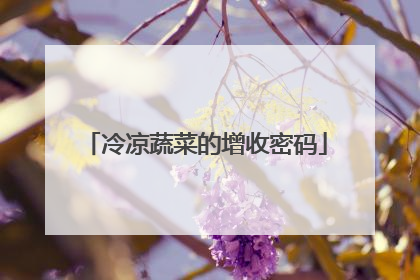 冷凉蔬菜的增收密码