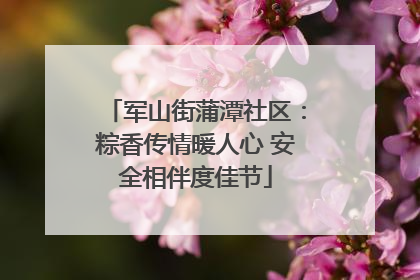 军山街蒲潭社区：粽香传情暖人心 安全相伴度佳节