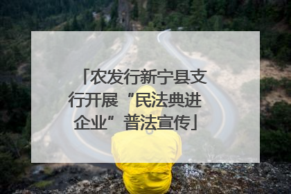 农发行新宁县支行开展“民法典进企业”普法宣传