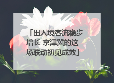 出入境客流稳步增长 京津冀的这场联动初见成效