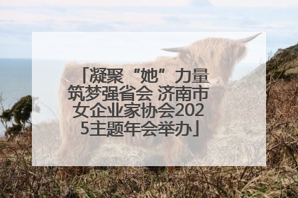 凝聚“她”力量 筑梦强省会 济南市女企业家协会2025主题年会举办