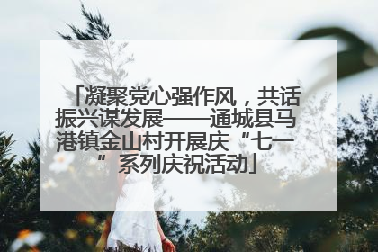 凝聚党心强作风，共话振兴谋发展——通城县马港镇金山村开展庆“七一”系列庆祝活动