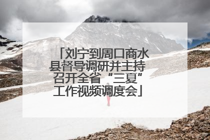 刘宁到周口商水县督导调研并主持召开全省“三夏”工作视频调度会