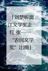刘楚昕漓江文学奖走红 张一一“农民文学奖”出圈