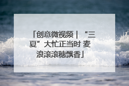 创意微视频｜“三夏”大忙正当时 麦浪滚滚穗飘香