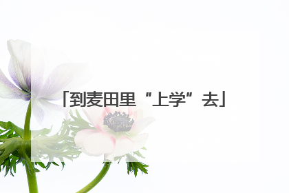 到麦田里“上学”去