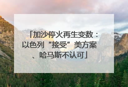 加沙停火再生变数：以色列“接受”美方案、哈马斯不认可