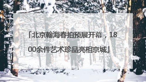 北京翰海春拍预展开幕，1800余件艺术珍品亮相京城