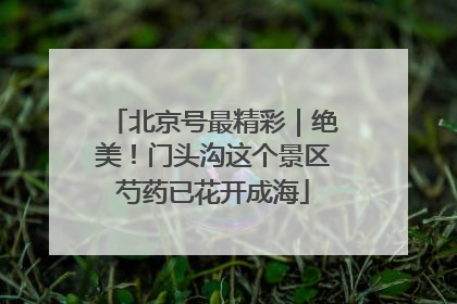 北京号最精彩｜绝美！门头沟这个景区芍药已花开成海