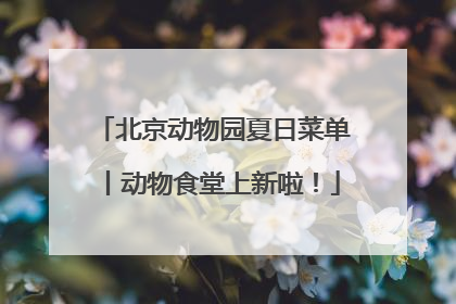 北京动物园夏日菜单丨动物食堂上新啦！