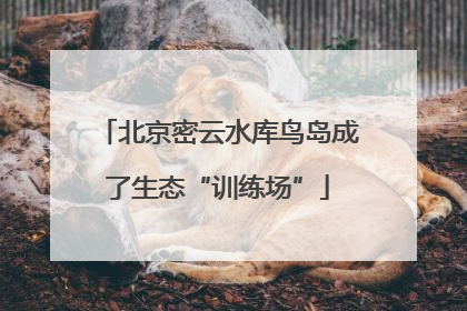 北京密云水库鸟岛成了生态“训练场”