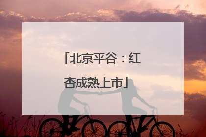 北京平谷：红杏成熟上市