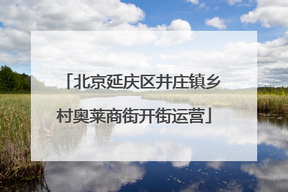 北京延庆区井庄镇乡村奥莱商街开街运营