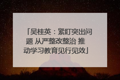 吴桂英：紧盯突出问题 从严整改整治 推动学习教育见行见效