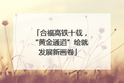合福高铁十载，“黄金通道”绘就发展新画卷