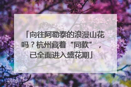 向往阿勒泰的浪漫山花吗？杭州藏着“同款”，已全面进入盛花期