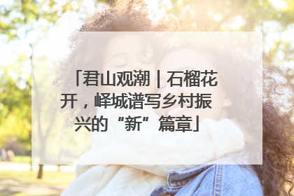 君山观潮｜石榴花开，峄城谱写乡村振兴的“新”篇章