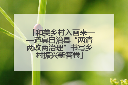 和美乡村入画来——道真自治县“两清两改两治理”书写乡村振兴新答卷