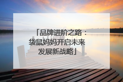 品牌进阶之路：袋鼠妈妈开启未来发展新战略