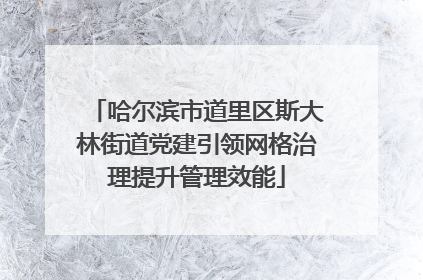 哈尔滨市道里区斯大林街道党建引领网格治理提升管理效能