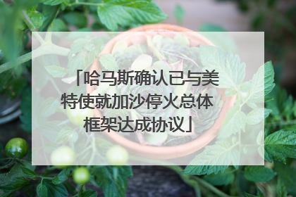 哈马斯确认已与美特使就加沙停火总体框架达成协议